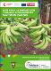 Guía para la producción y manejo integrado del cultivo de plátano.pdf.jpg
